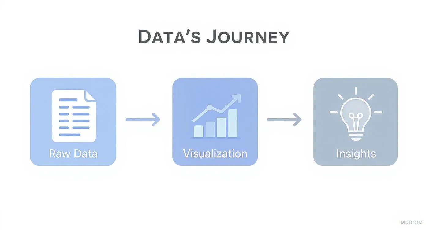 Infographic about data visualization and dashboards