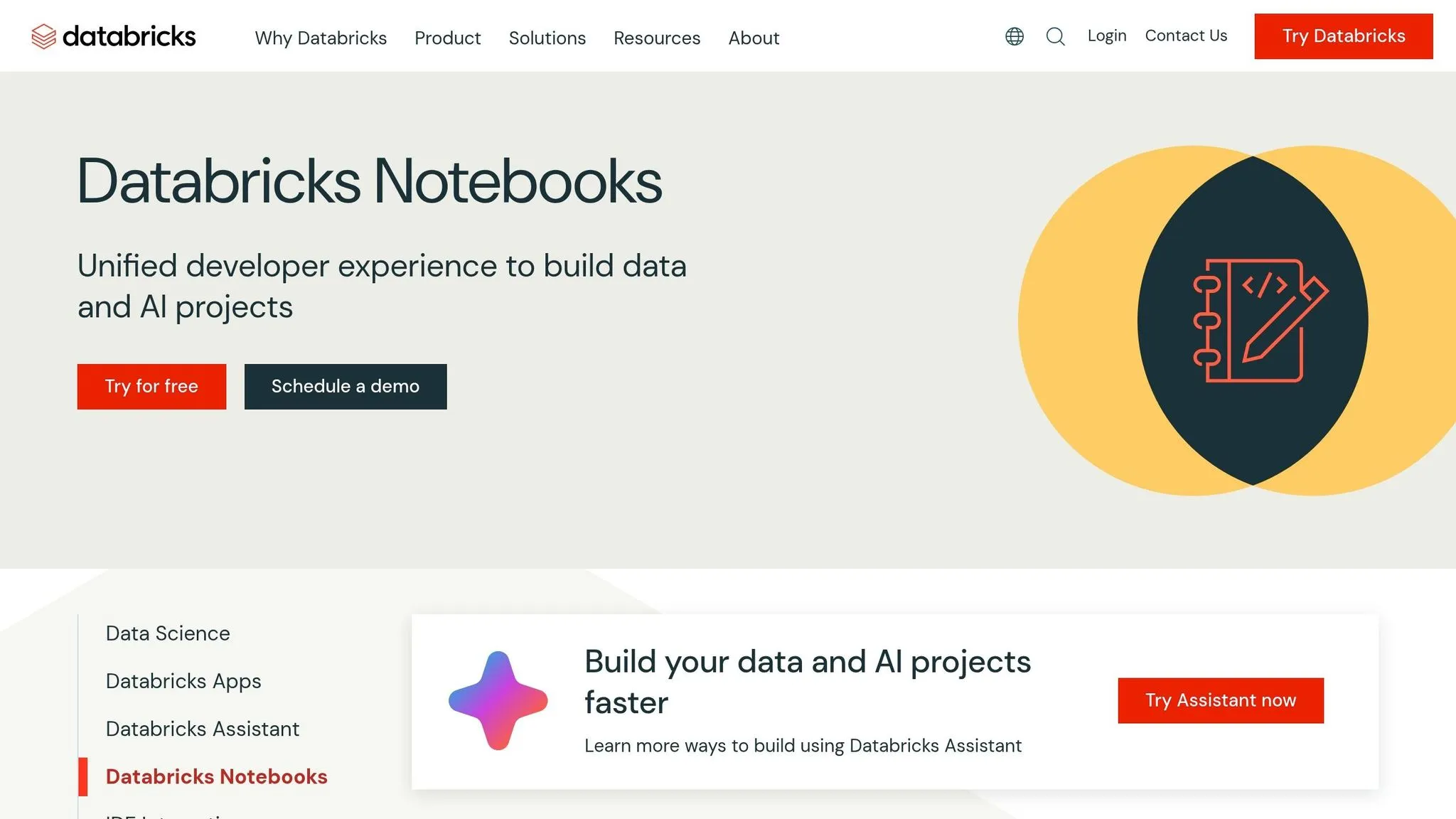Databricks Notebooks