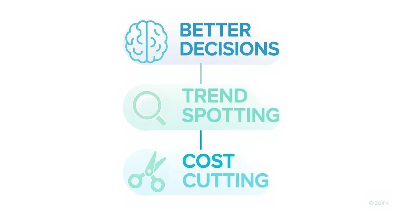 Infographic about what is business intelligence analytics