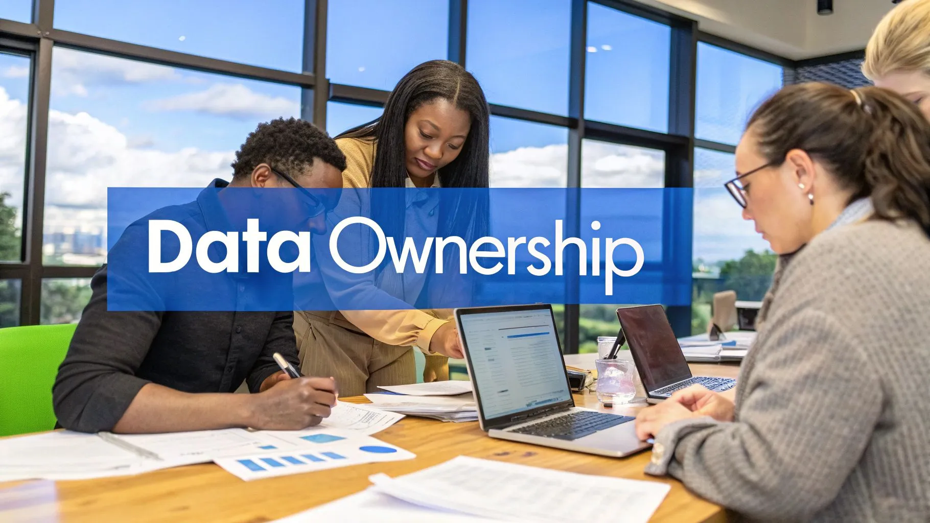 Establish Clear Data Ownership and Stewardship